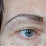 Brows in the hairstroke style